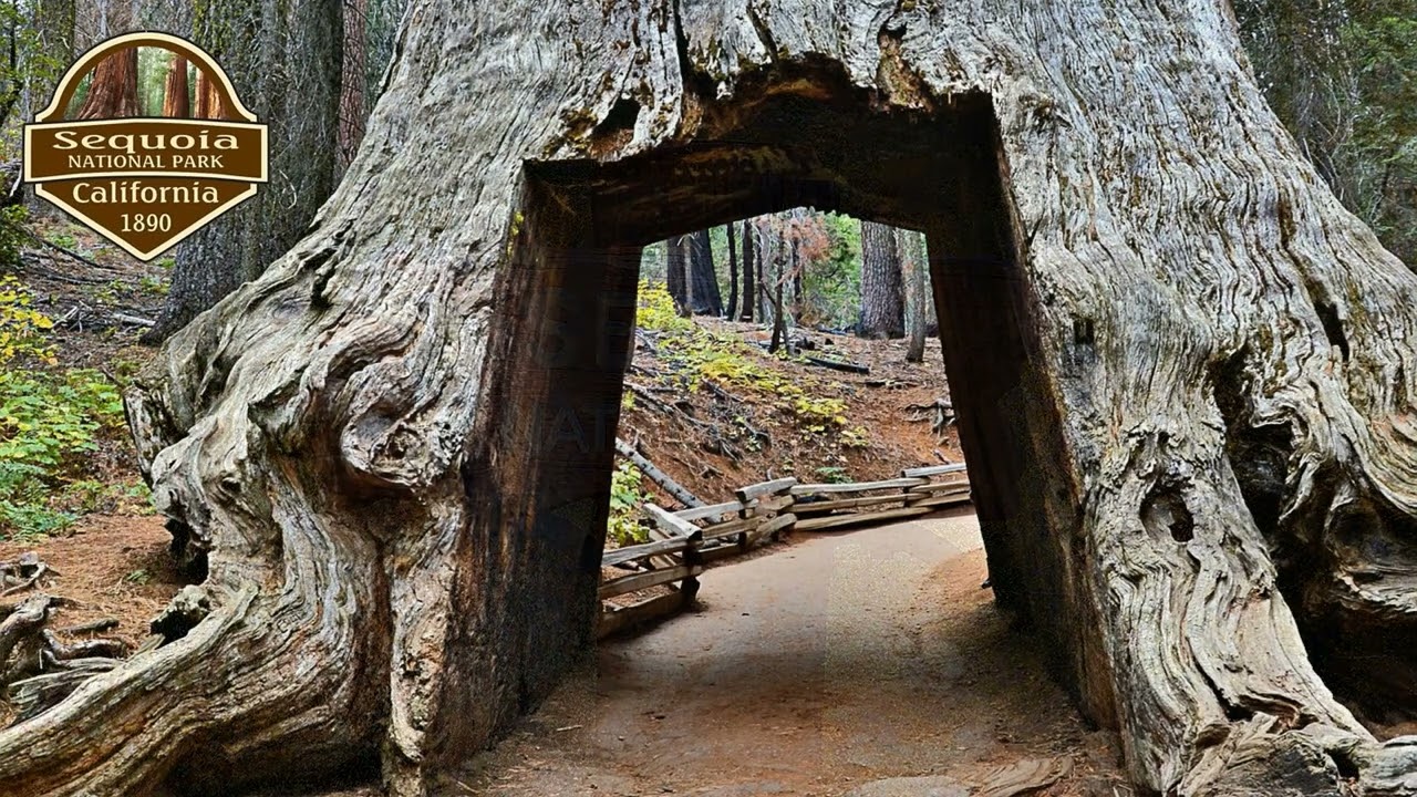 National Parks Video from Carefree Covered RV Storage