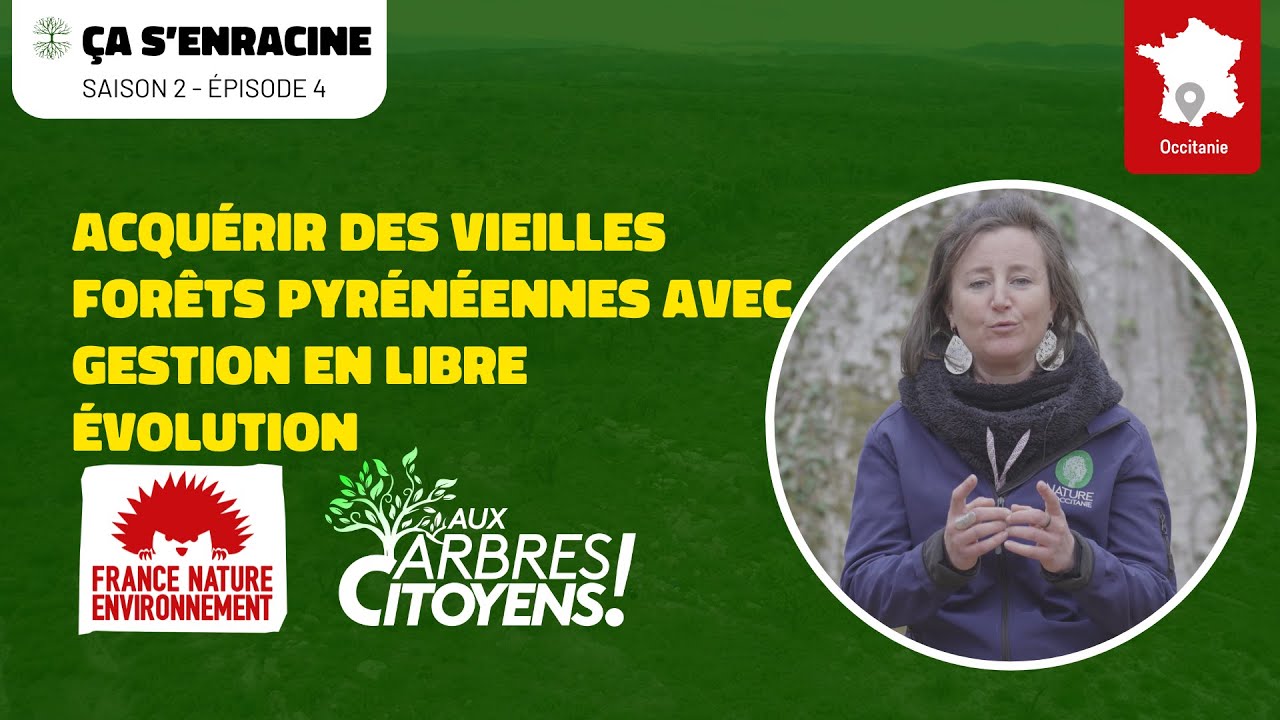 🌳 AAC -CA S'ENRACINE [EP4]- Acquérir des vieilles forêts Pyrénéennes avec gestion en libre évolution