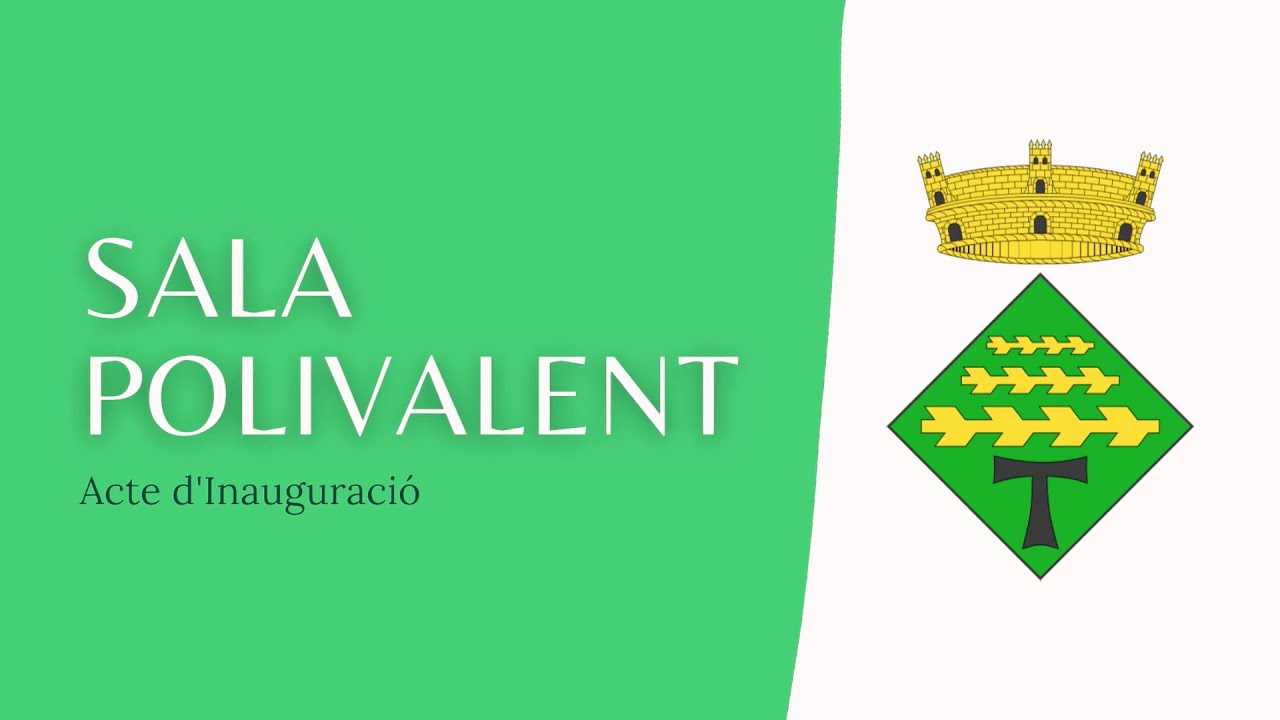 Ple extraordinari del 28 de juny del 2024