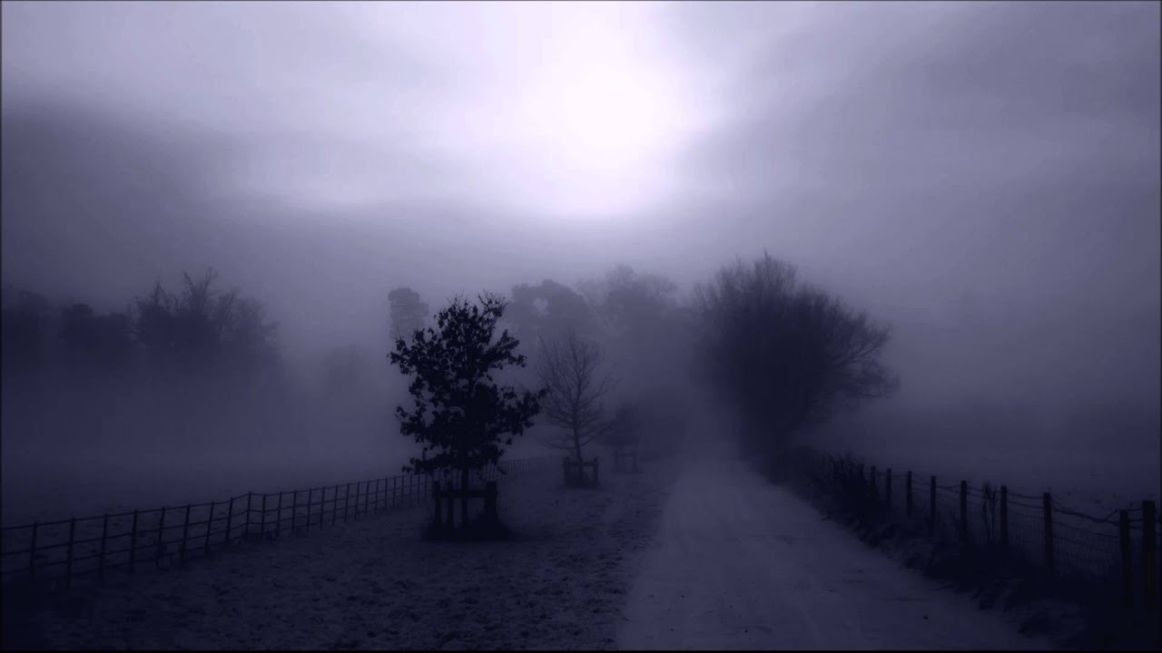 The Specialist - Nebelpfade (Deep House, Tech-House & Progressive House Mix)