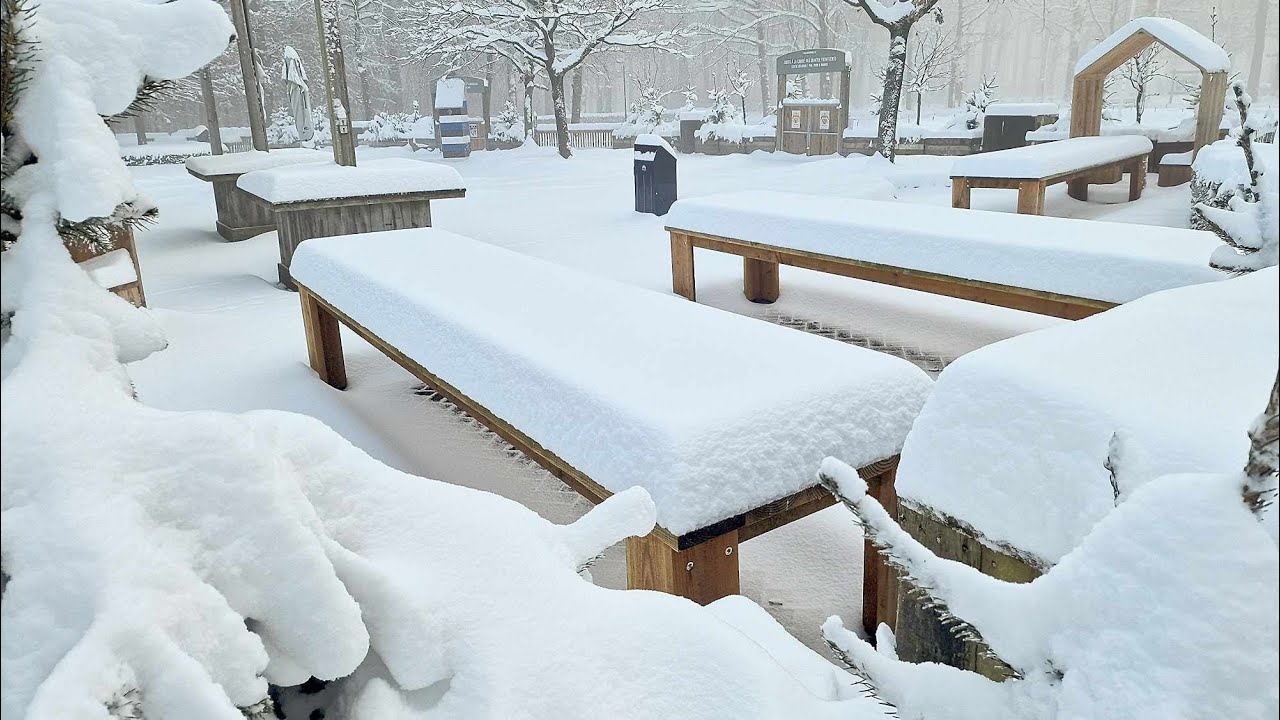 Sneeuwdump in Limburg: bijna 30 cm sneeuw!
