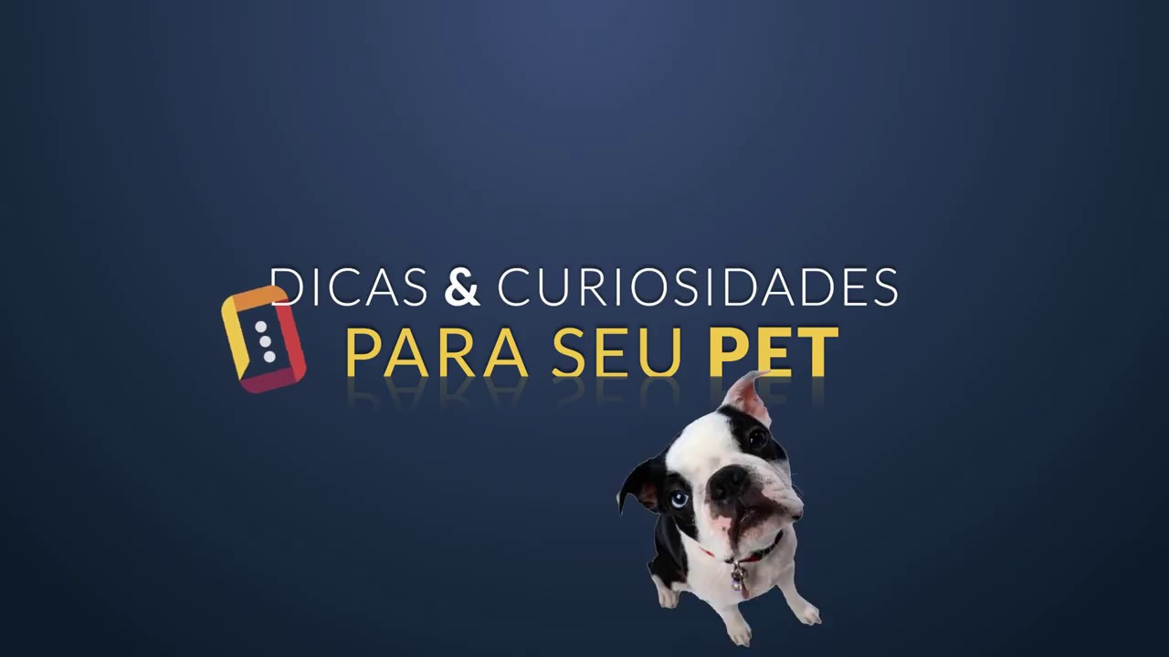 O veterin&aacute;rio, R&ocirc;mulo Edgard, fala sobre diabetes nos c&atilde;es