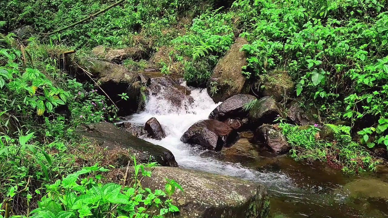 Calming River at Night – Soft Flowing Water Under the Moon for Deep Sleep Relief