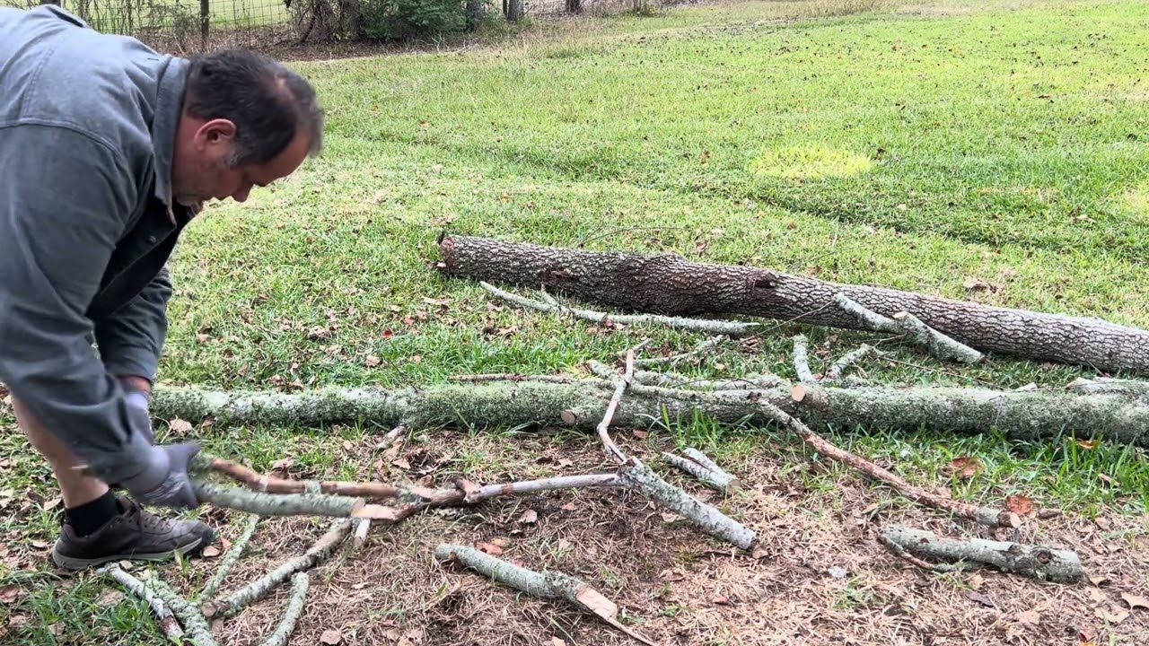 Outdoor Winter clean up wood cutting vlog