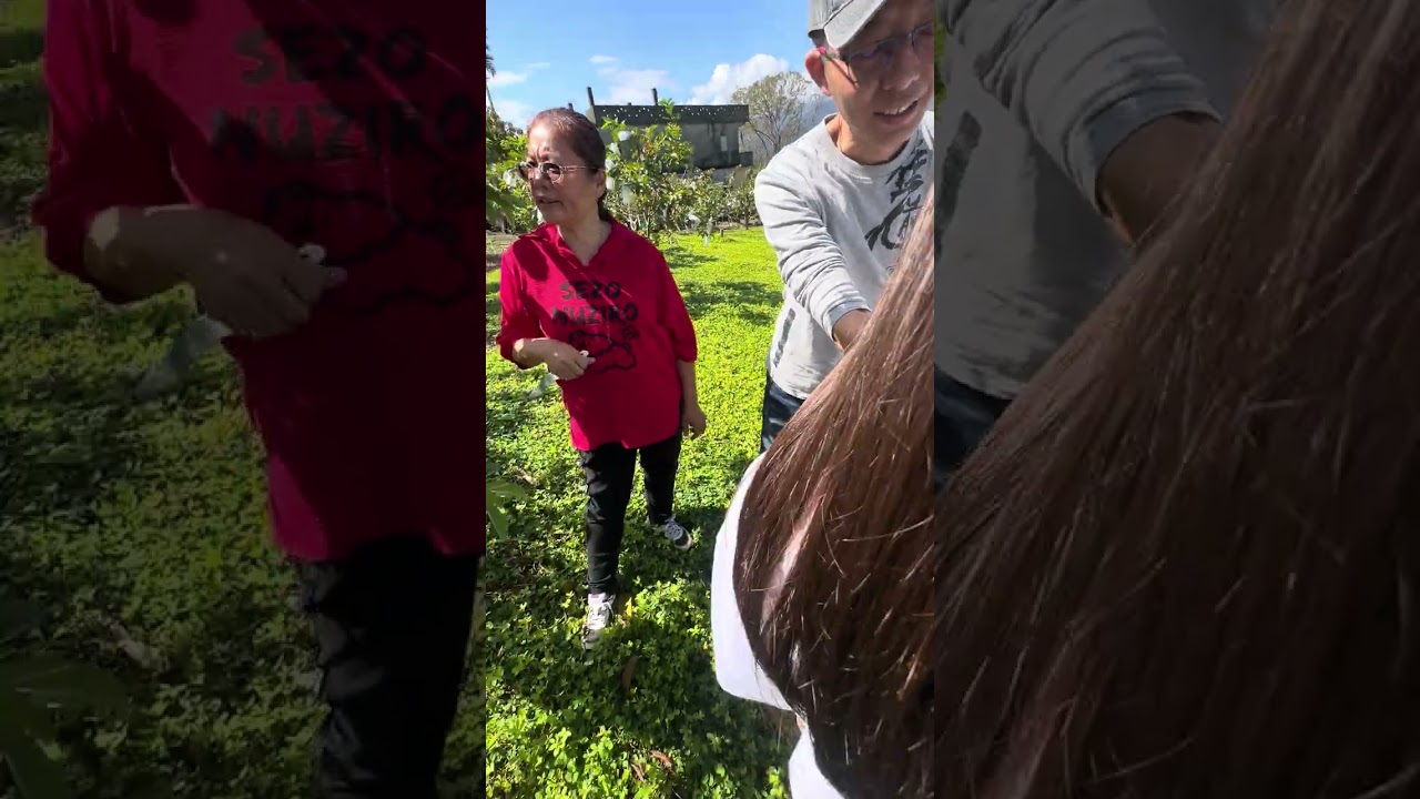 花蓮採芭樂體驗