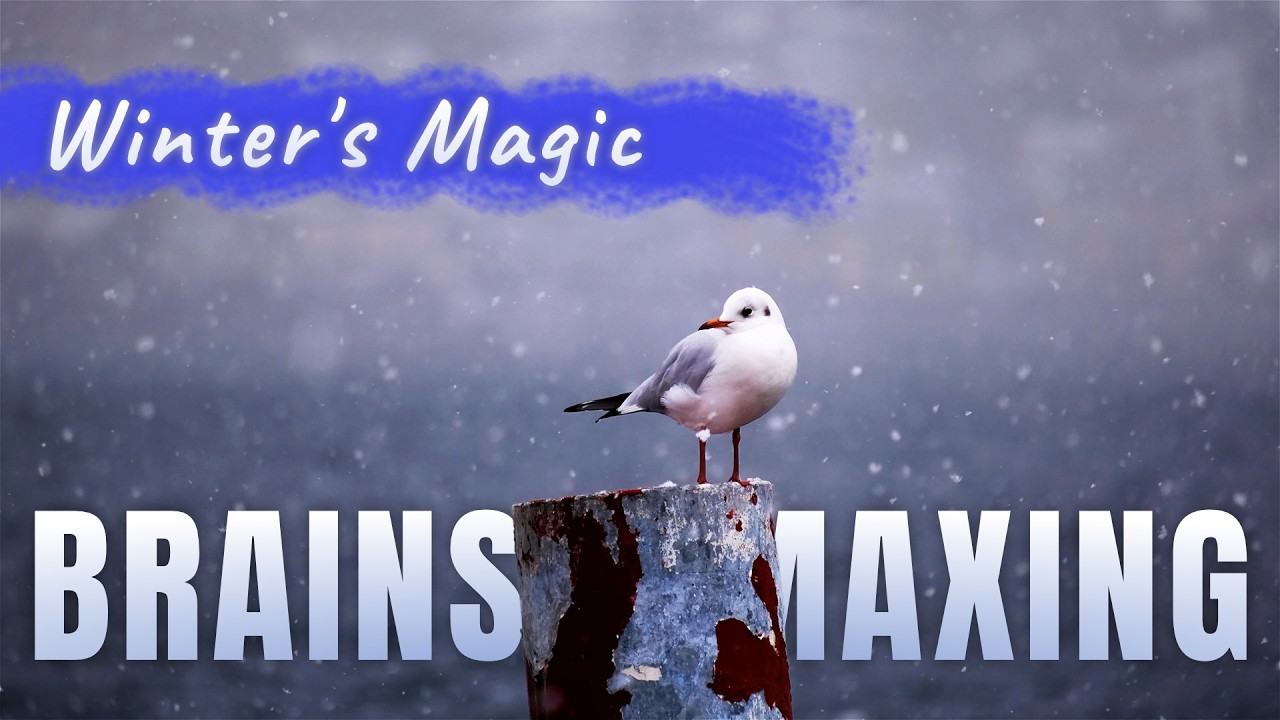 Winter's Magic Brainsmaxing – Relaxing Ambient Music & Snowy Landscapes for Your Studying