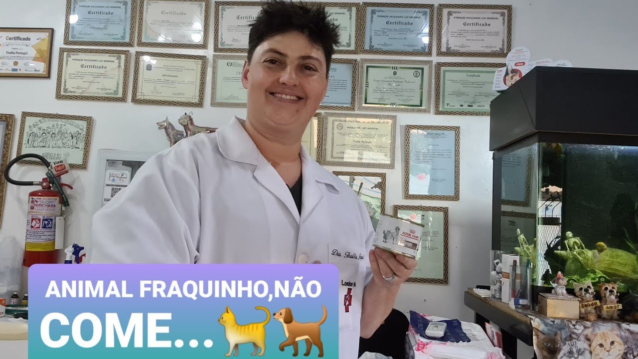 HIPERCALÓRICO PARA CÃES E GATOS