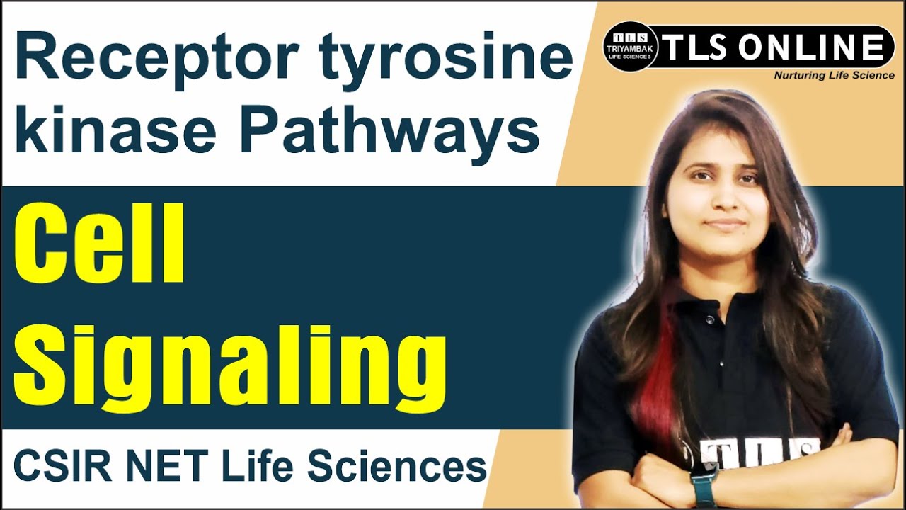 Receptor tyrosine kinase Pathways | Cell Signaling | CSIR NET Life Sciences | Shruti Shukla |