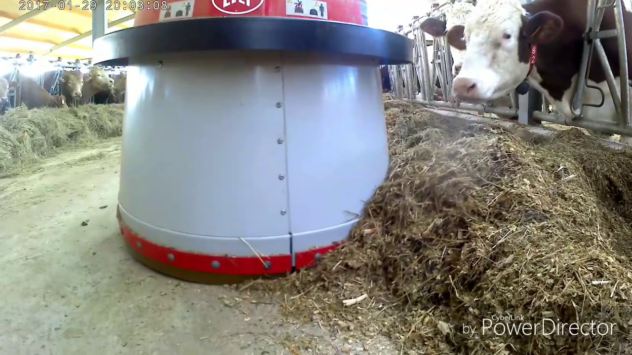 Lely ASTRAUNAUT A4. Lely juno lely m4use