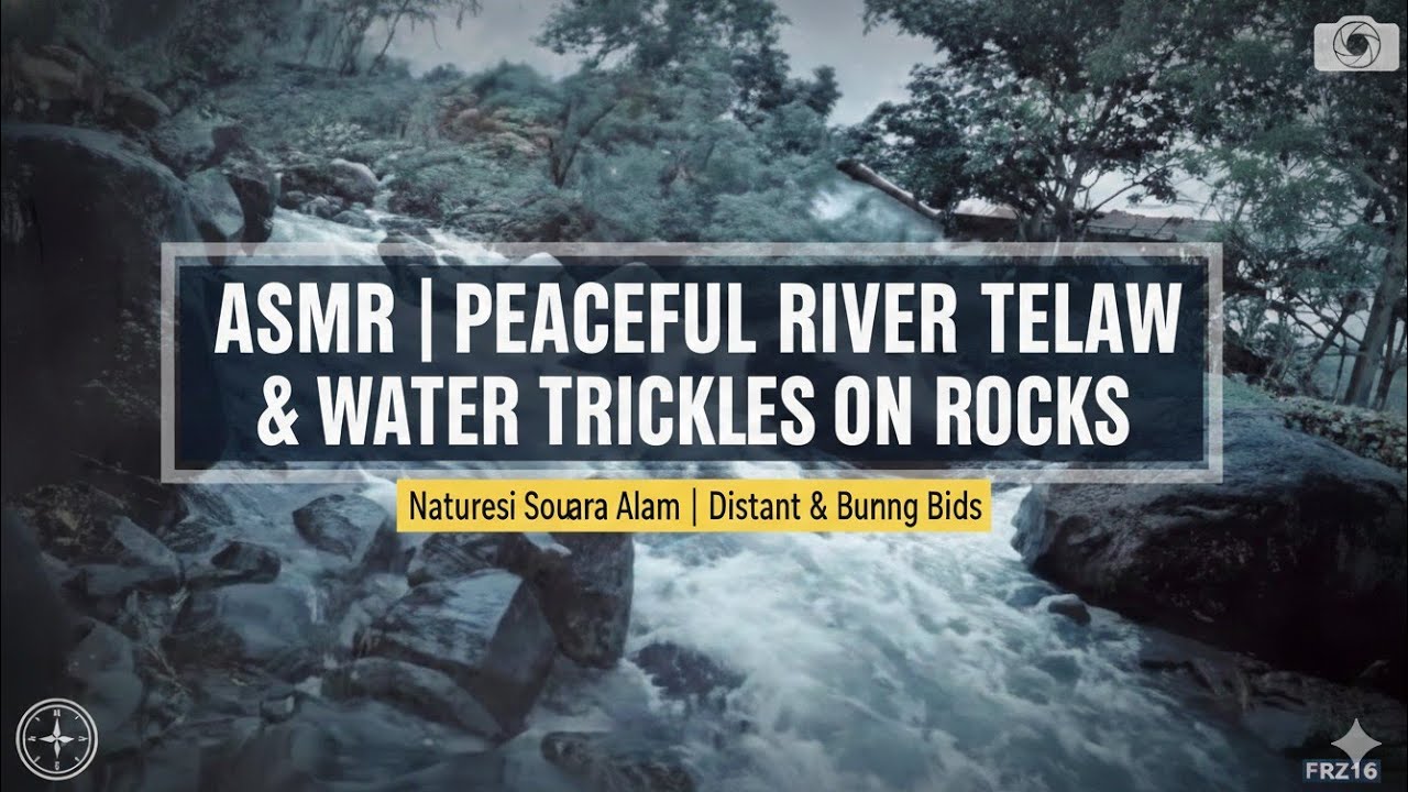Pure Nature ASMR: Peaceful Mountain Stream & Water Trickling on Rocks