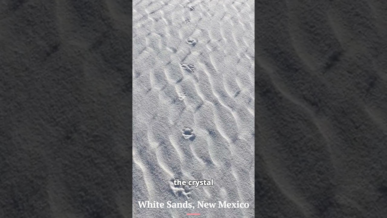 White Sands: A Dream Carved by Geology 