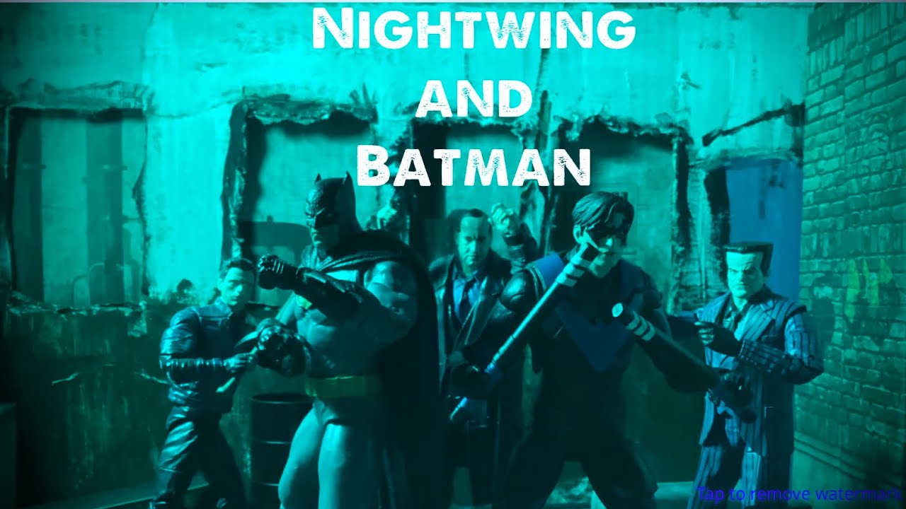 Batman and Nightwing The Dynamic Duo full stop motion