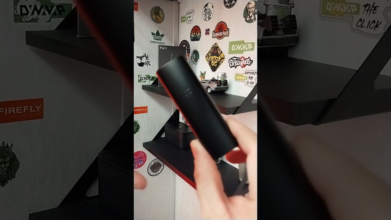 Долгосрочный обзор Pax Mini