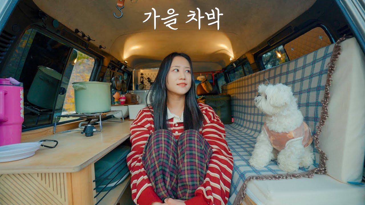 낙엽잎 떨어지는 계곡 앞, 26년 된 낡은 자동차에서 하룻밤 | 석화찜🦪 + 어묵우동🍢 | 가평  구름계곡캠핑장