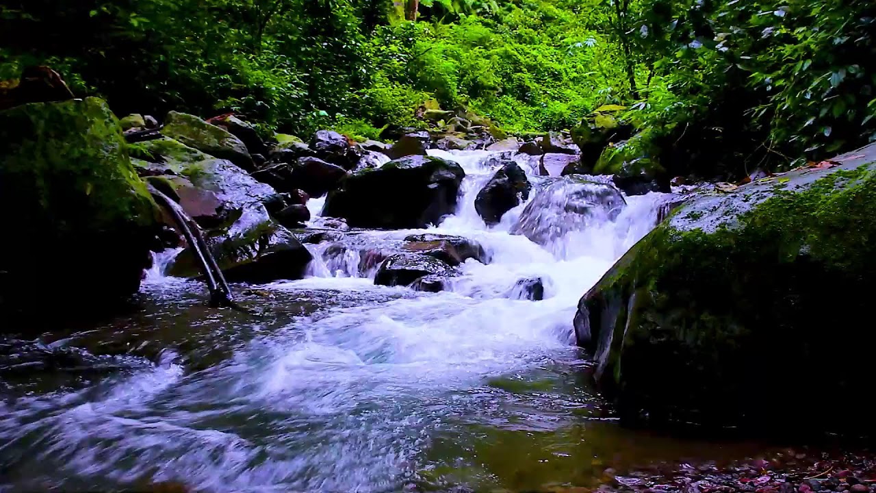 Mountain River Flowing All Night | Calm Nature Sounds to Help You Sleep