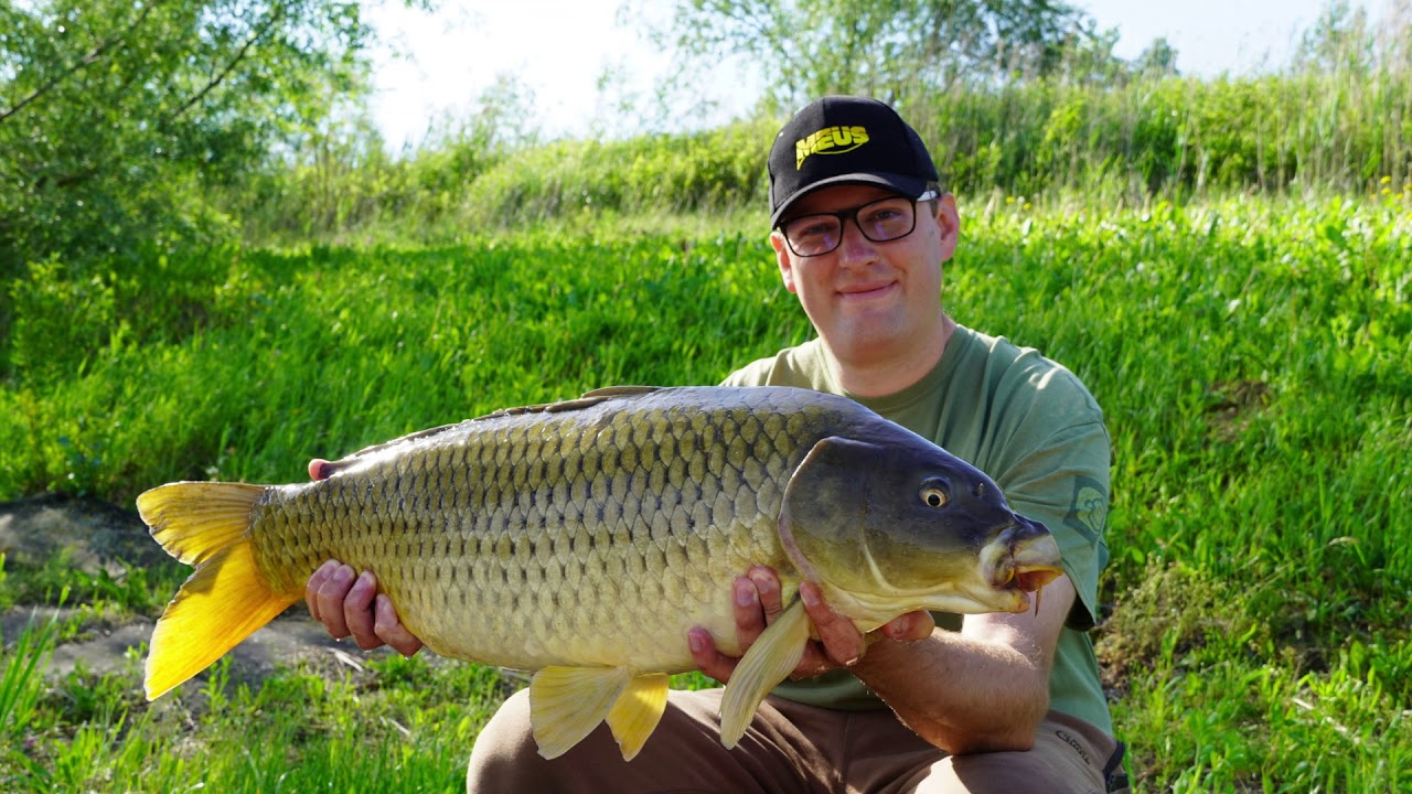 CARP RUNS miniMovie - Zsennye Lake - MEUS Baits Hungary