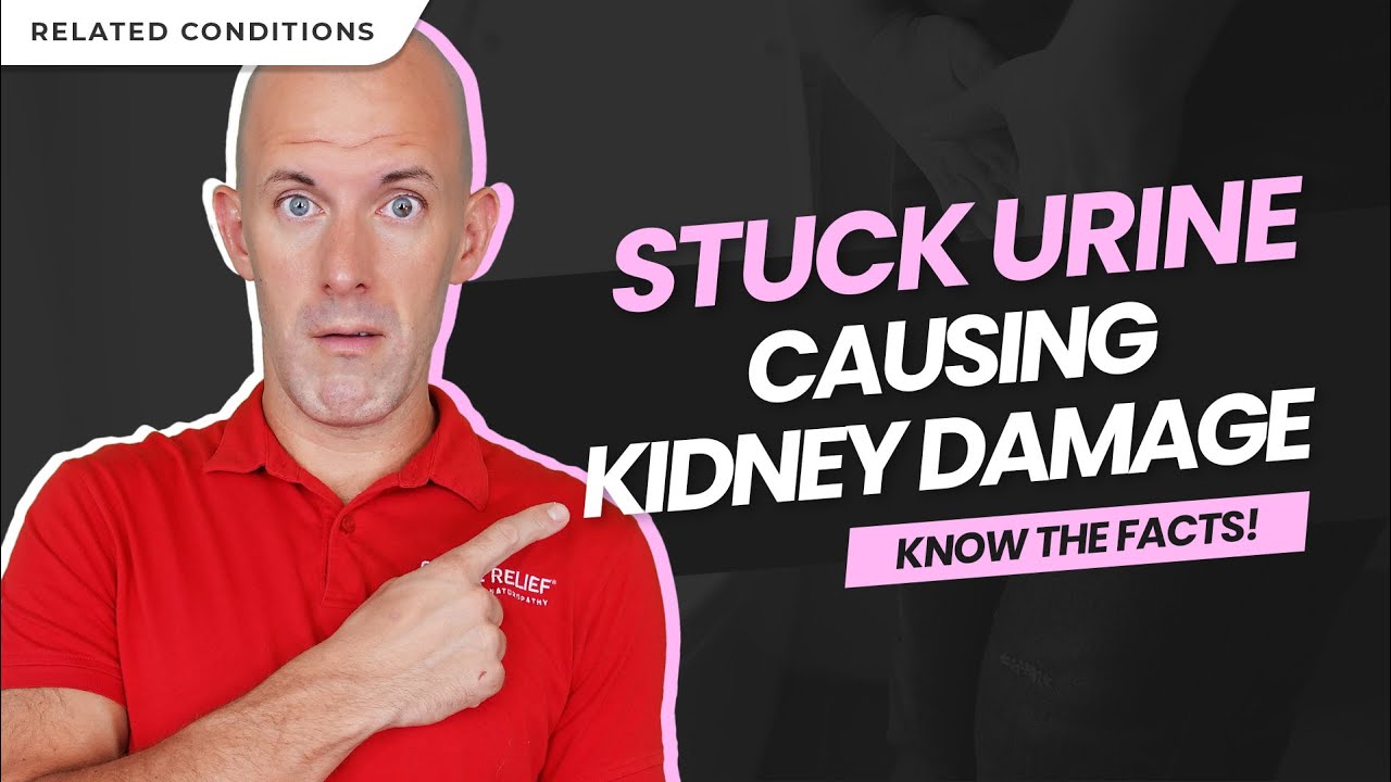 Understanding Hydronephrosis: 4 Grades of Kidney Stones & Risks of Kidney Damage