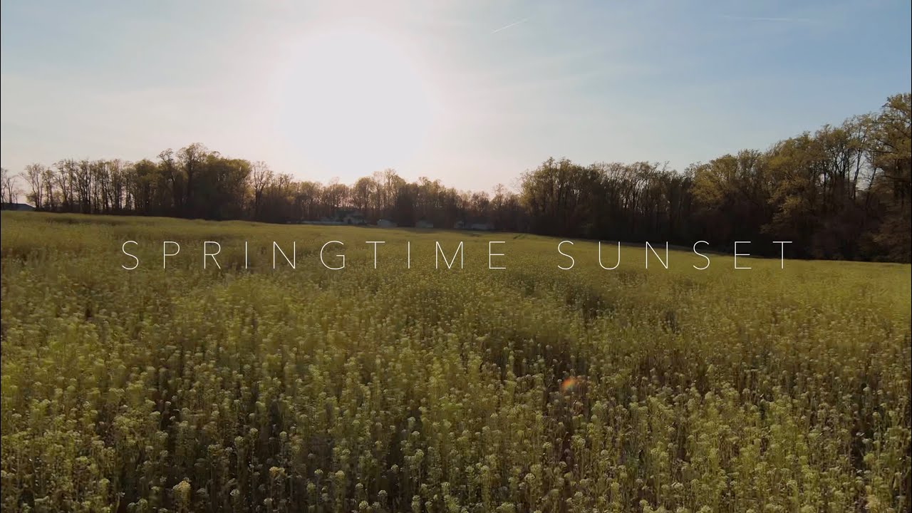 Springtime Sunset  (4K Cinematic Nature Drone)