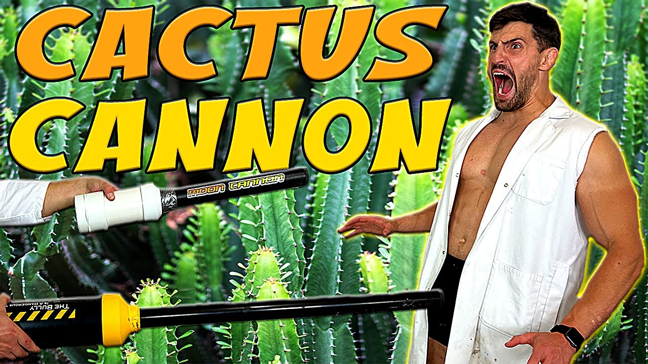 Shot by a CACTUS CANNON so Nobody else has to *UNIMAGINABLE PAIN*