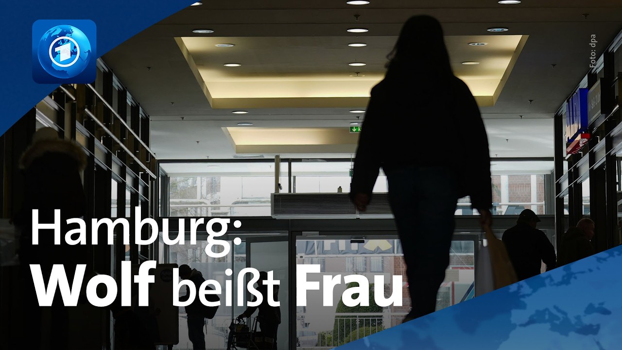 🌍  tagesschau24 Top-Thema, 31.3.2026 | Wolf bei&szlig;t Frau in Hamburger Innenstadt