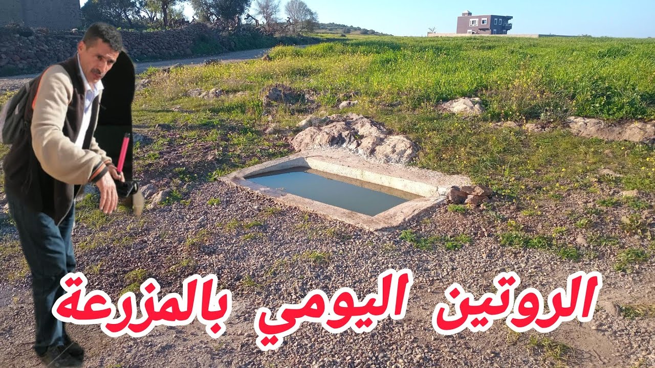 الروتين اليومي بالمزرعة 28 فبراير 2026 رمضان المبارك 1447