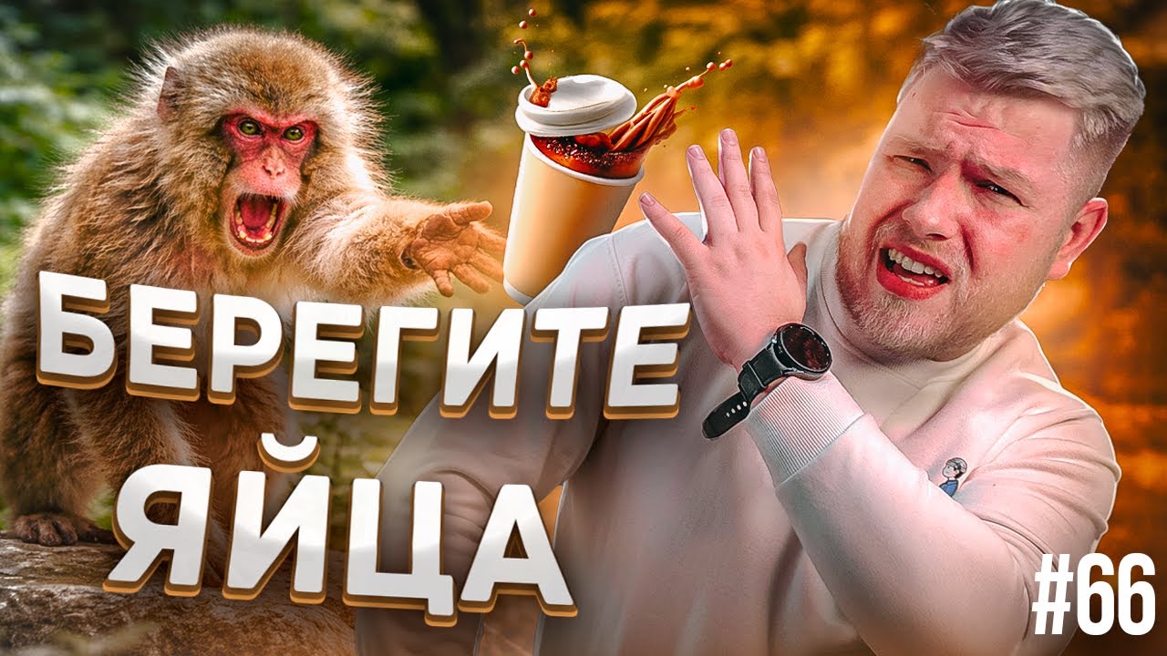 Реснички ВСЁ / Китайская смекалка / Обезьяна // ЧУВЗП №66