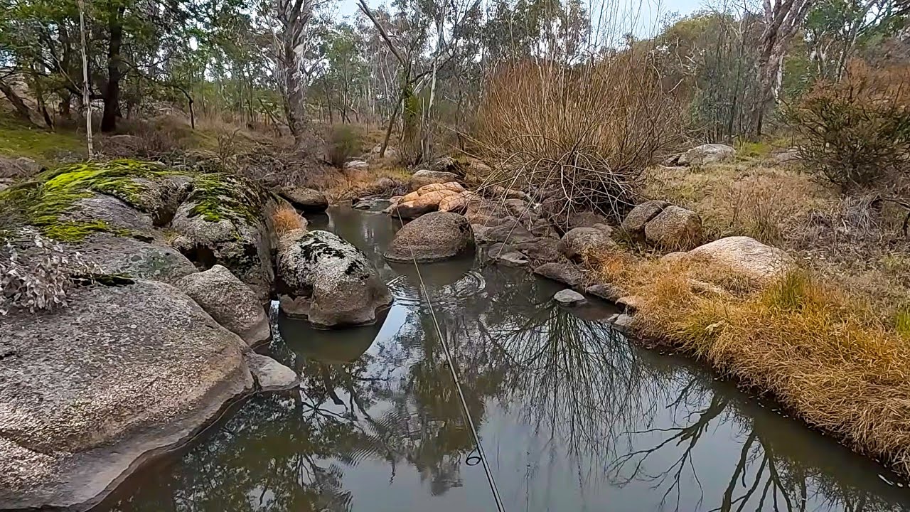 Sick Winter Redfin Perch Fishing