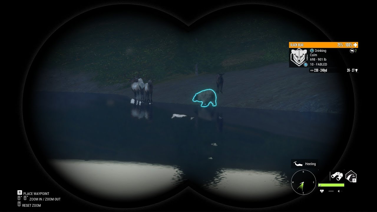 SHOOTING MY SECOND G1 BEAR!
