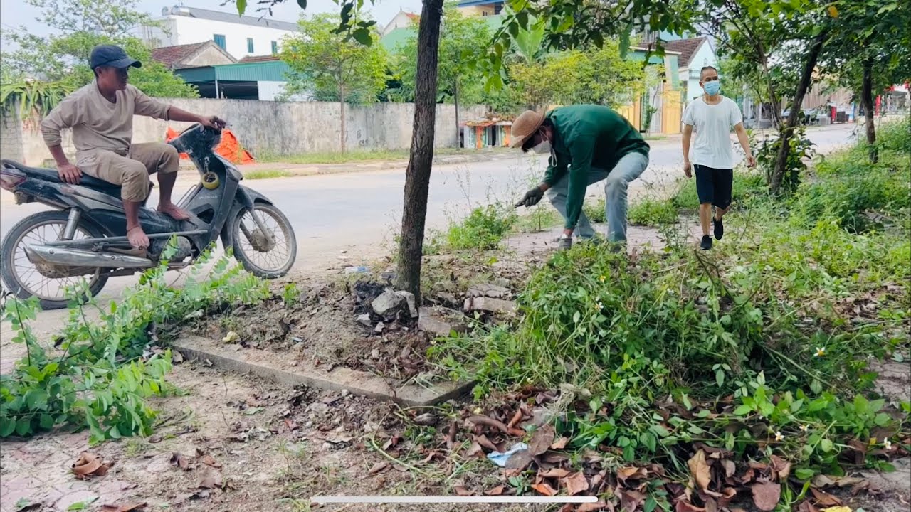Volunteer Clean Walkway Neighbors turned blind eye when saw me mowing lawn with Rudimentary tools