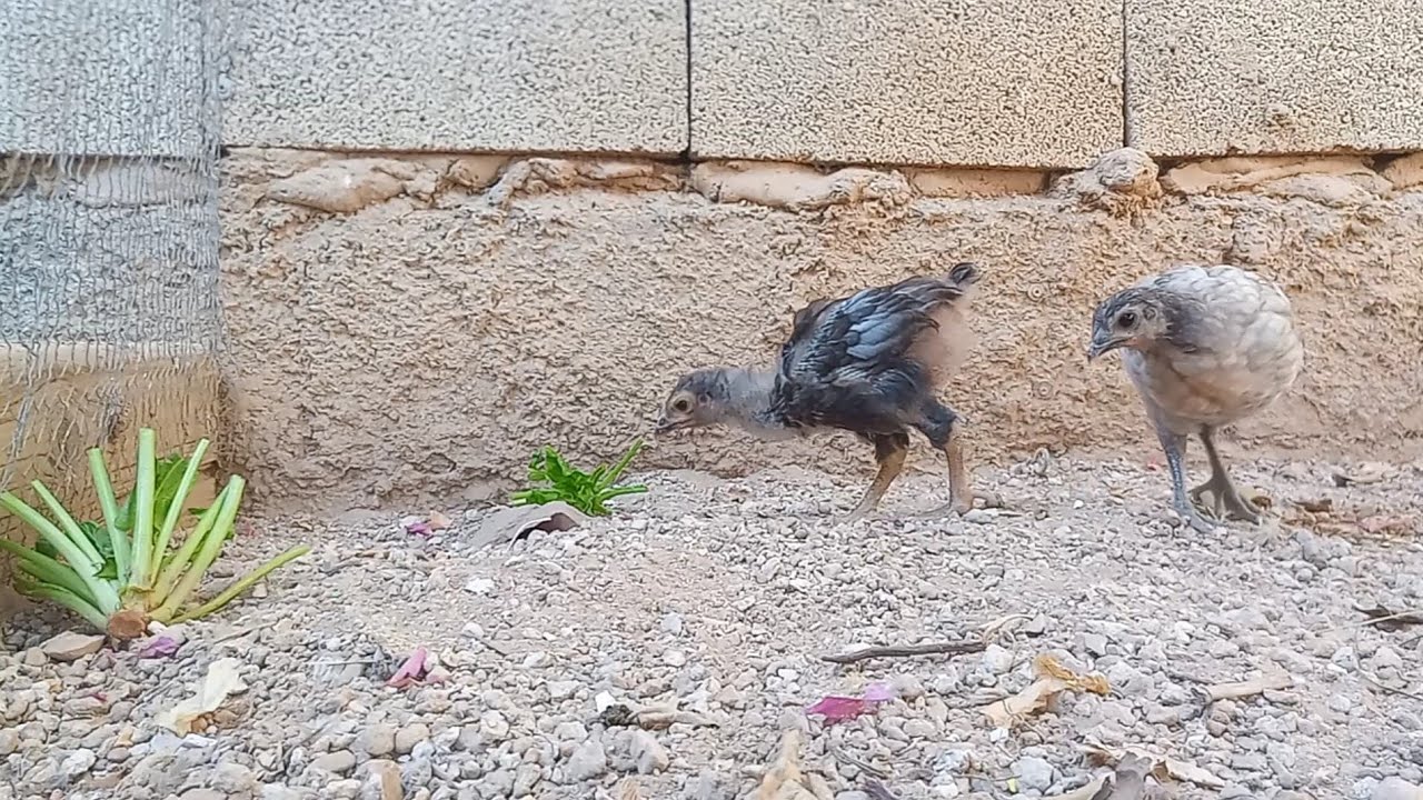 LA BELLEZA DE LA NATURALEZA #4