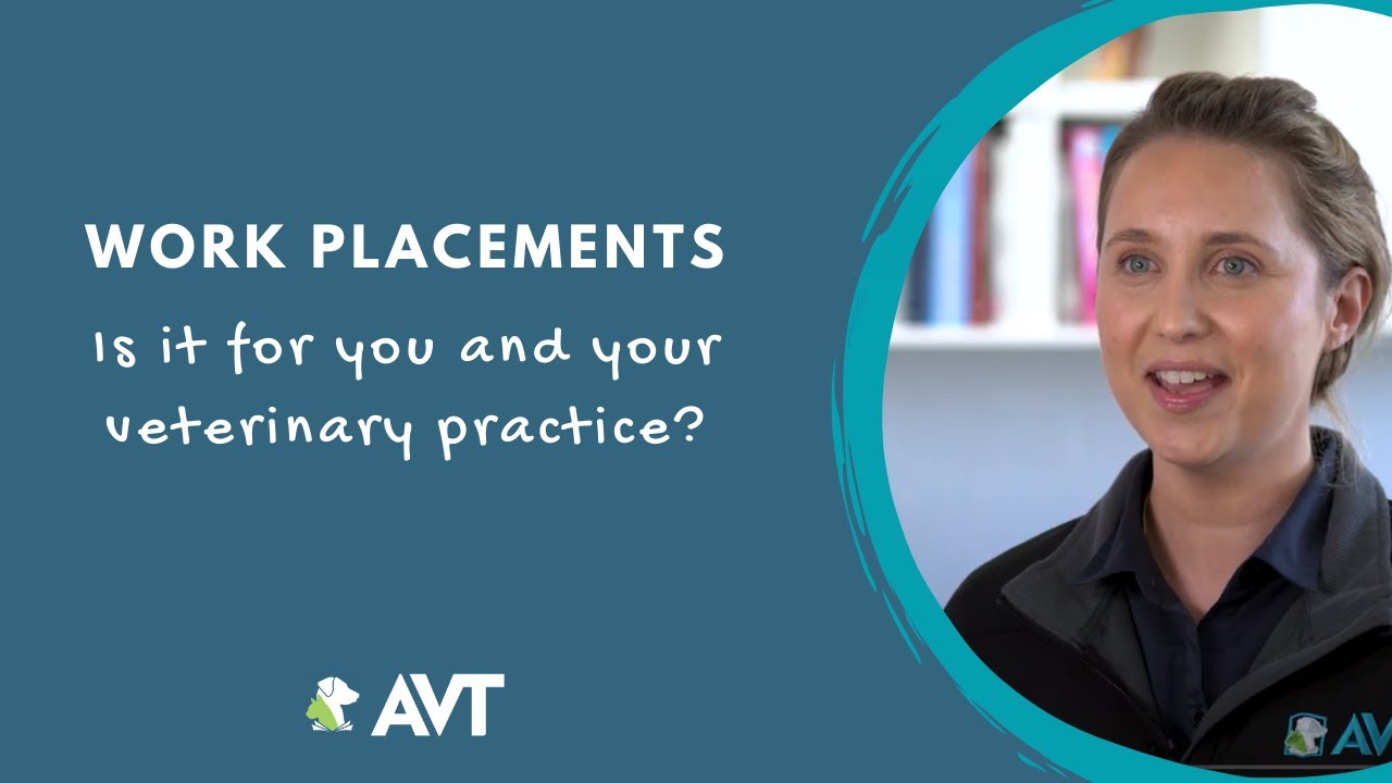 Vet Nursing Work Placement - Is it for you and your Veterinary Practice?