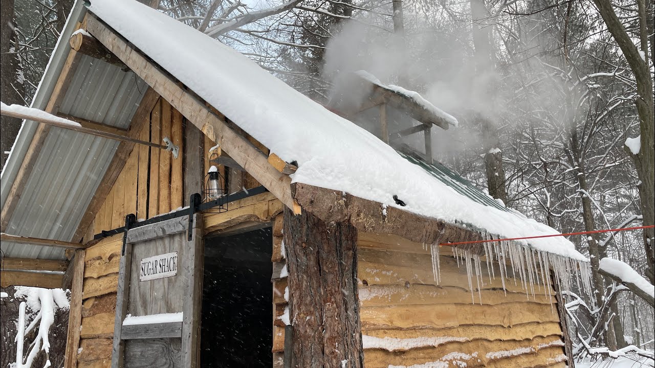 The Gold Rush is on! Maple season 2026 (BATCH #3) 