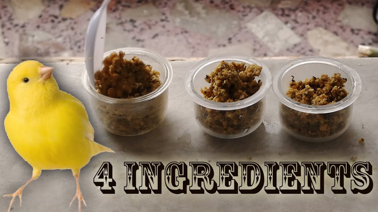 How to make eggfood easy recipe !