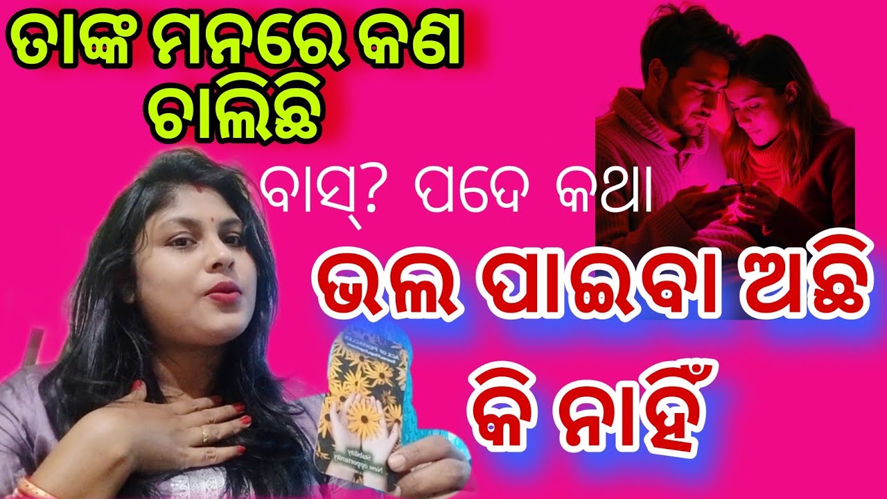 🧿💓ତାଙ୍କ ମନ କଥା💕odia current feelings tarot card reading ❤️ odia current feeling