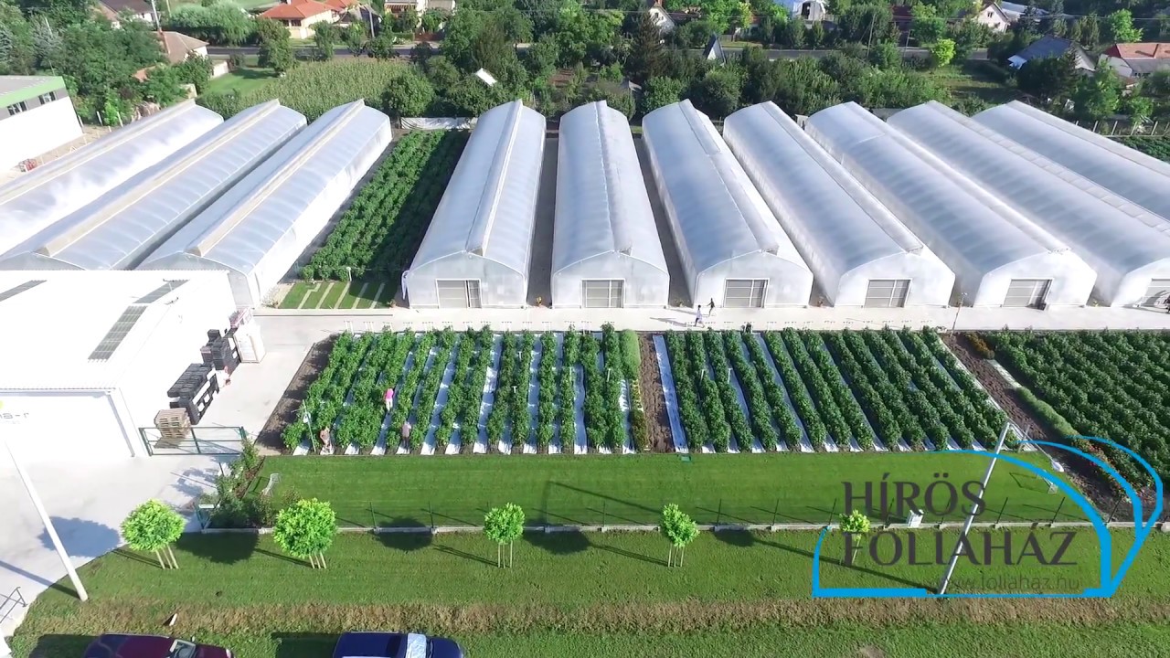 Alagút rendszerű fóliaházak Szentesen.