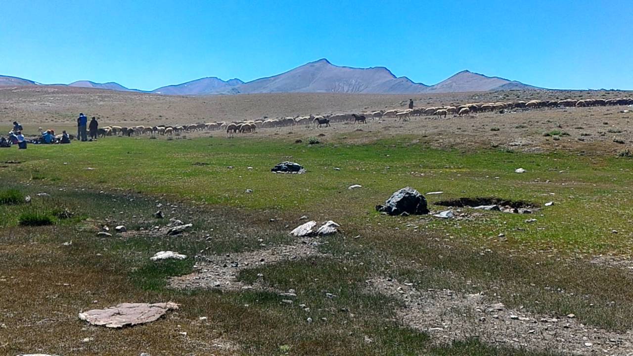 Bolkarlar - Yazıg&ouml;l