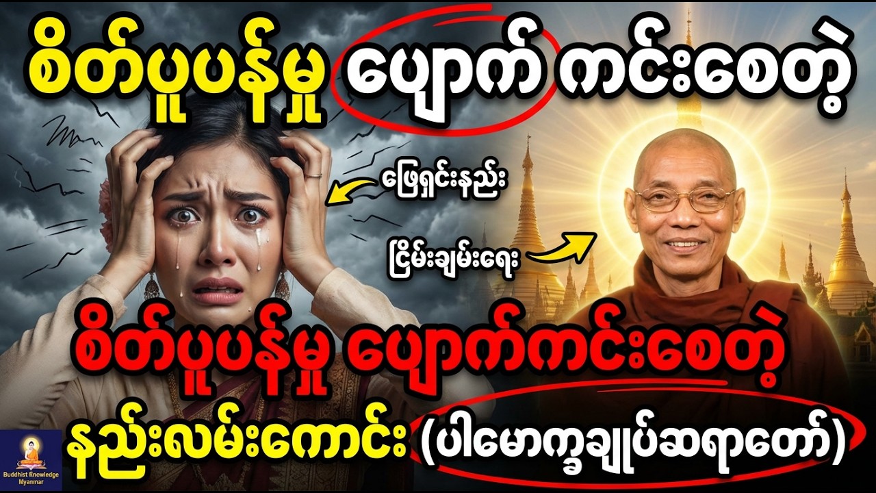 စိတ်ပူပန်မှုတွေ ပျောက်ကင်းစေတဲ့ နည်းလမ်းကောင်းများ (ပါမောက္ခချုပ်ဆရာတော်)