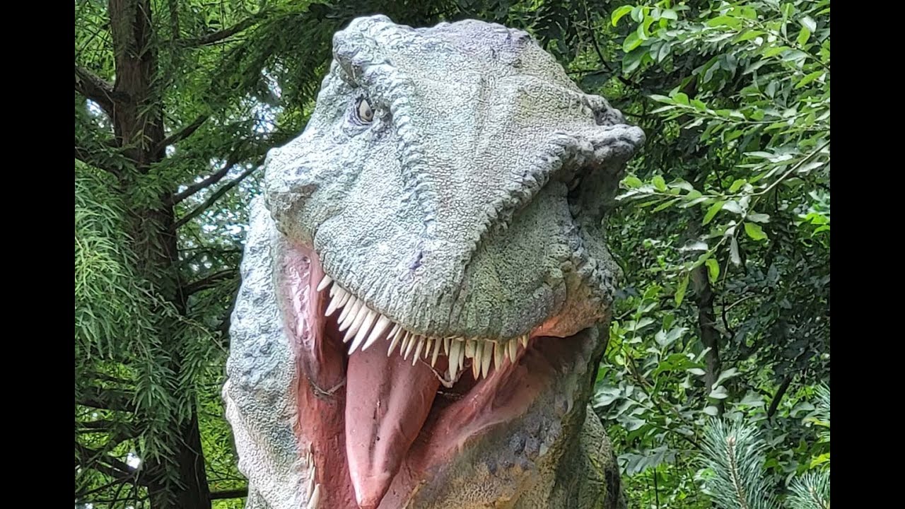 ZOO a DINOpark Vyškov 14. srpna 2022