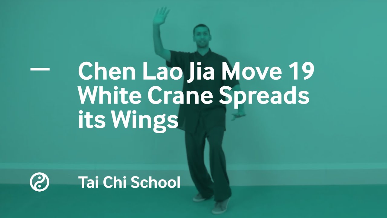 Chen Tai Chi Lao Jia. Move 19: White Crane Spreads it's Wings