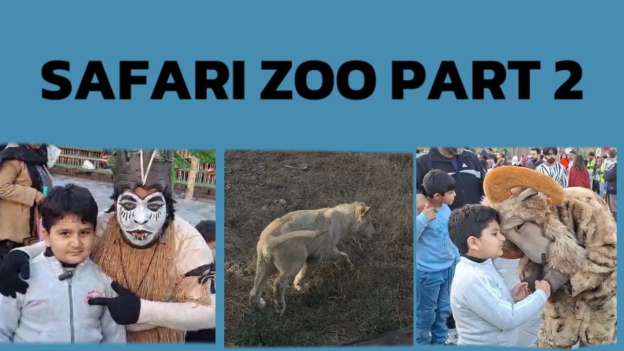 Safari zoo part 2| circus| lion ko meat khilaya| moro vlogs
