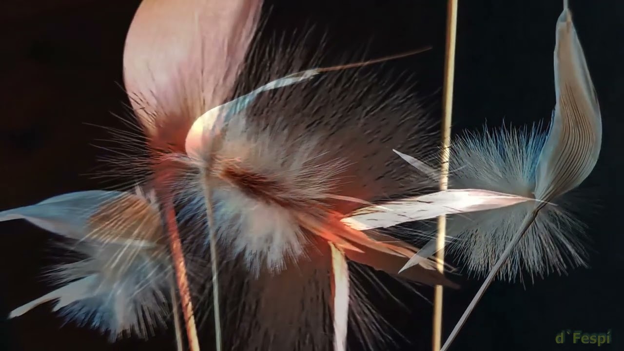 Lygeum spartum-albardín gran valor ecológico por su importancia como protector del suelo-4k6025