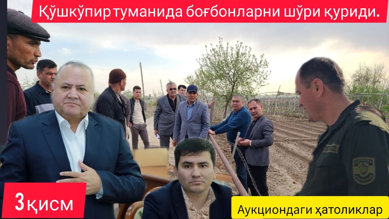 Аукциондаги ҳатоликлар ёки 