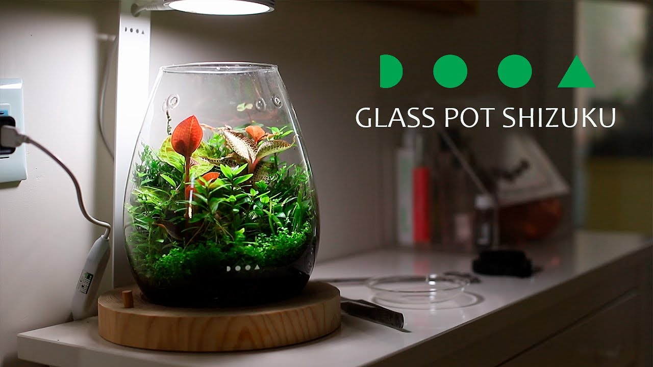 Мини-флорариум DOOA  glass pot SHIZUKU