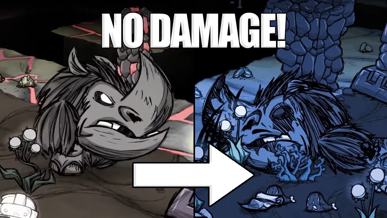 NOWY ANCIENT GUARDIAN NO DAMAGE!