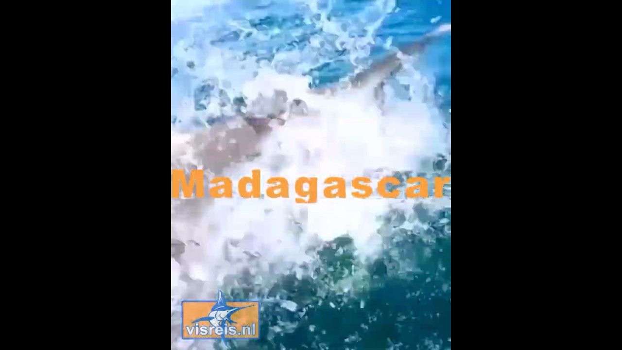 Groepsreis madagascar
