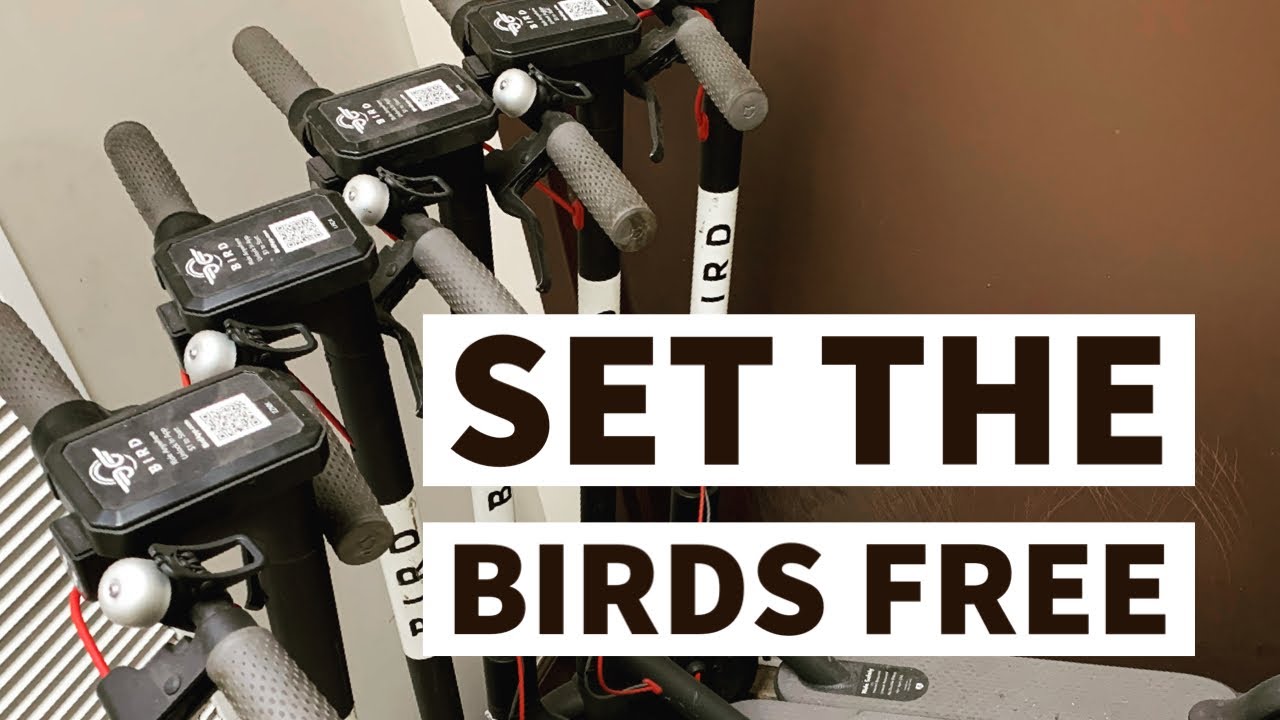 Переделка скутера Bird Scooter в персональный скутер. Всё самое интересное. Видеоинструкция.