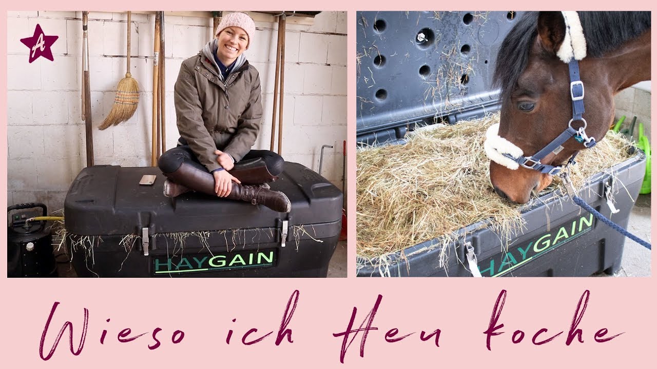 Q&A I Wieso ich Heu koche I Heu bedampfen mit dem Haygain