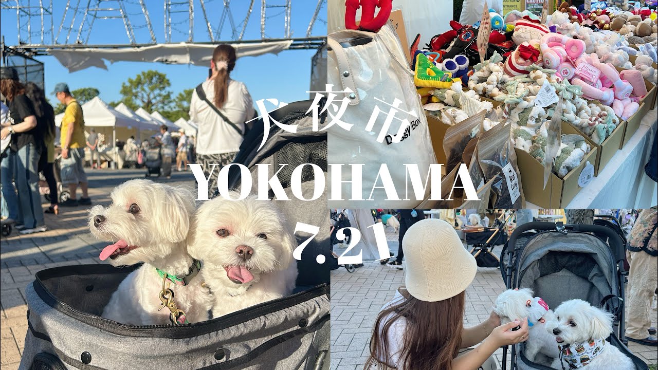 【VLOG】犬夜市に行った日🎀|横浜赤レンガ倉庫