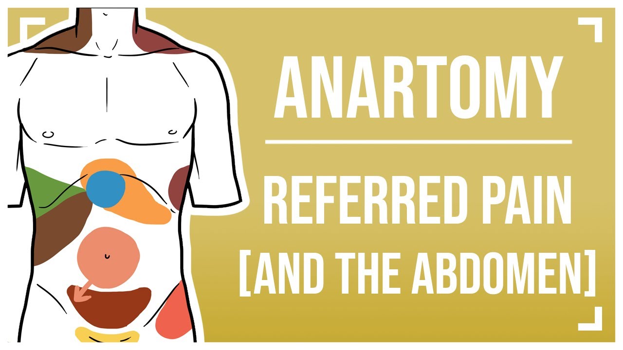 Referred Pain and the Abdomen