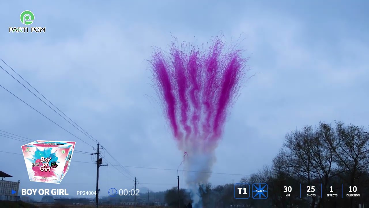 PP24004 GENDER REVEAL